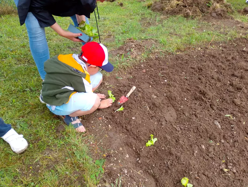  - Galerie Mercredis 2025