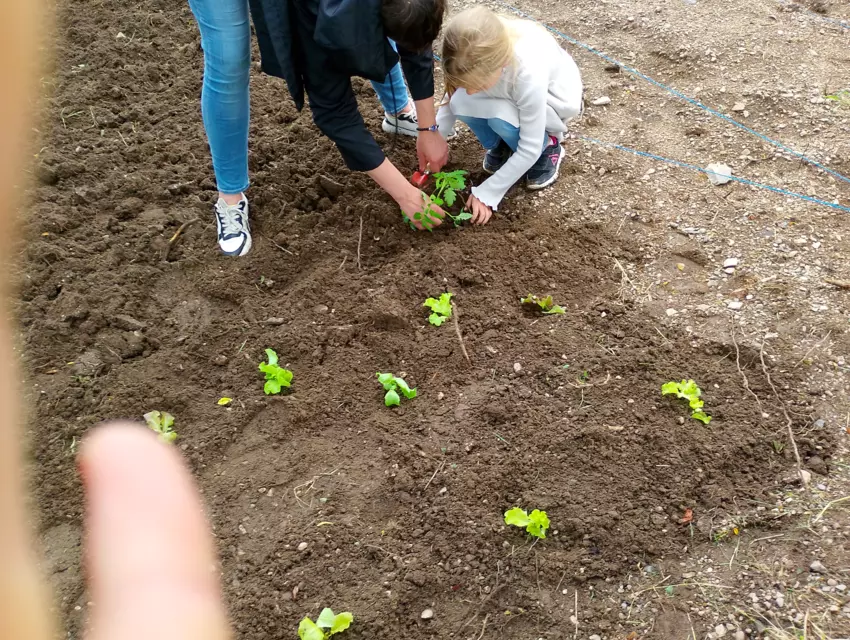  - Galerie Mercredis 2025