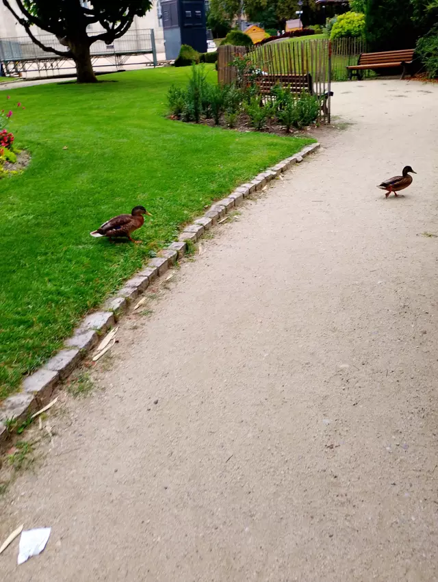  - Galerie Vacances été 2025