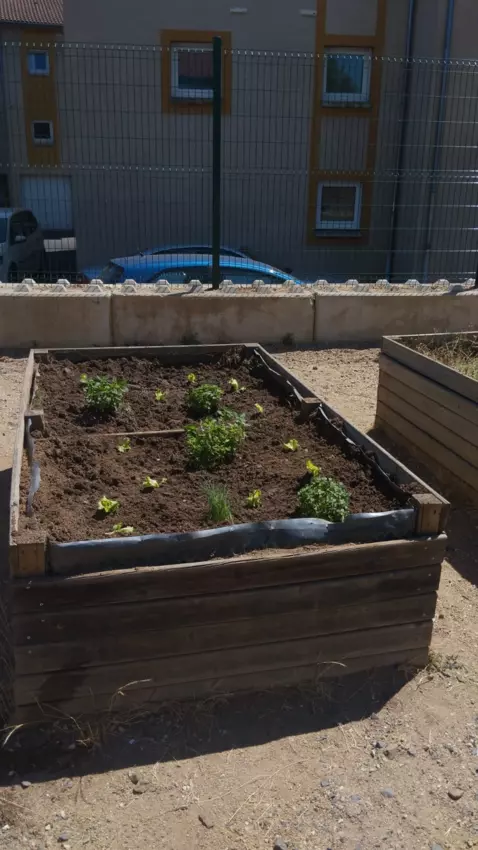  - Galerie Été 2025