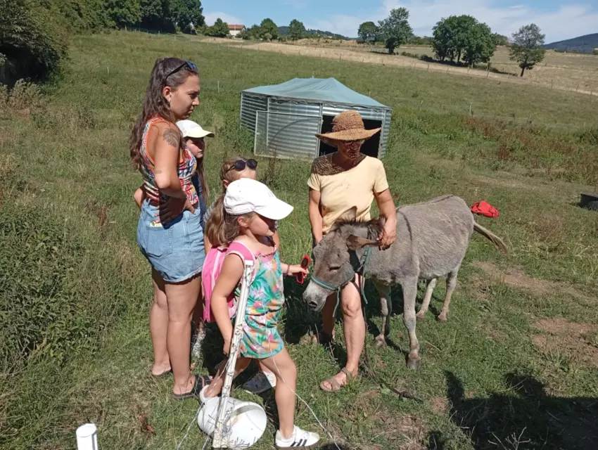  - Galerie Séjour de la Terre à l'assiette