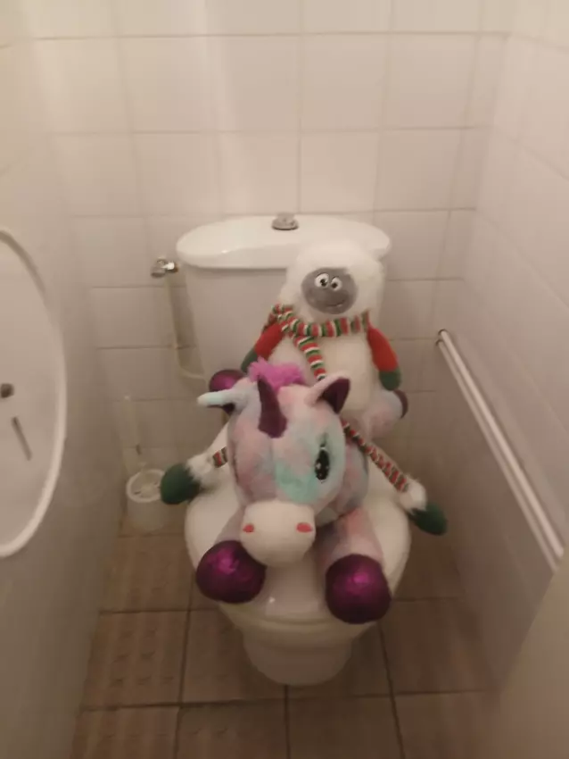  - Galerie 😀 Des journées aux centres 😀