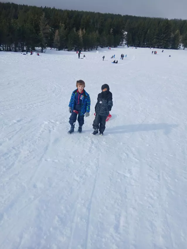  - Galerie Février 2026