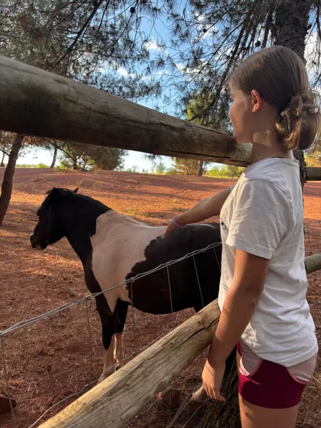  - Galerie Camp plage