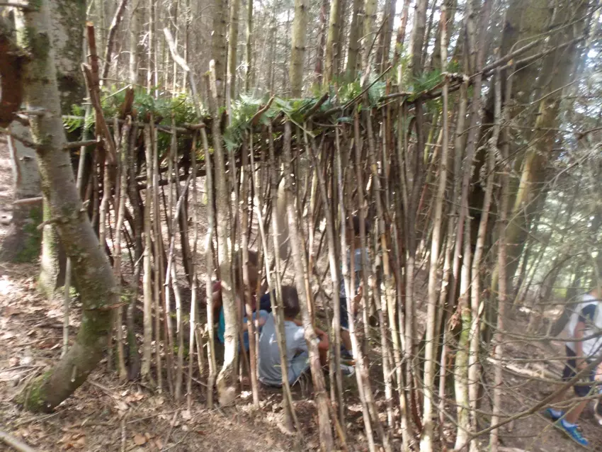  - Galerie semaine du 25 au 29 juillet