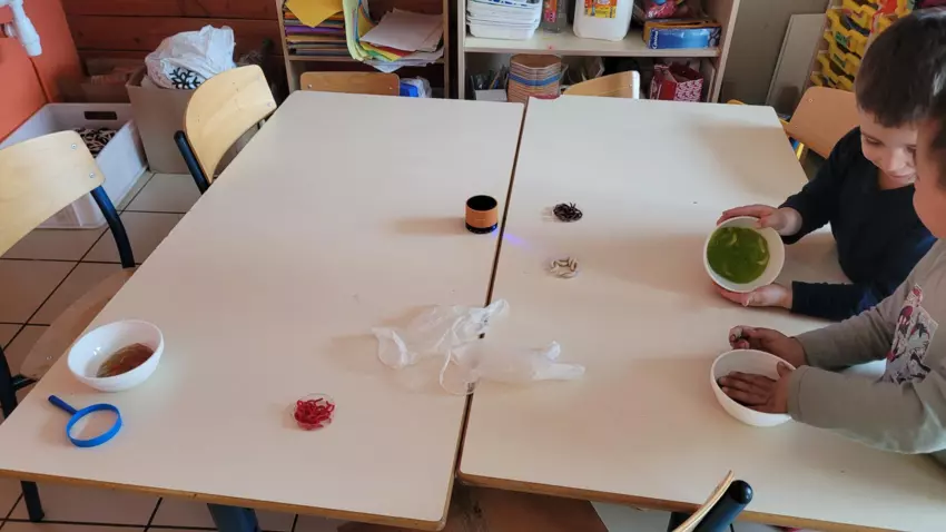  - Galerie Les vers de terres