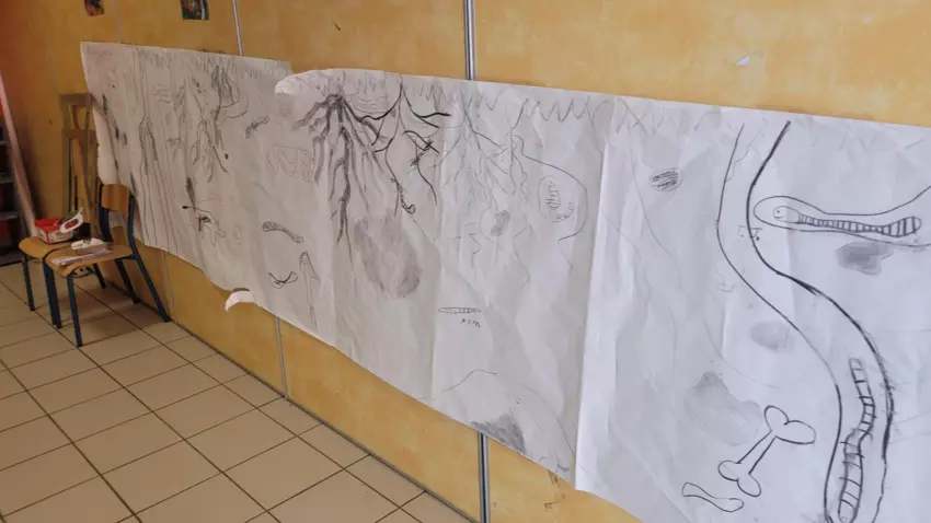  - Galerie Les vers de terres