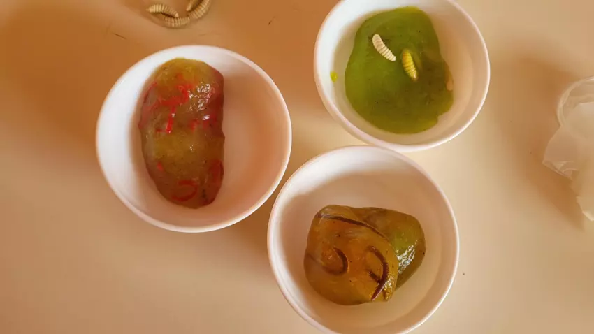  - Galerie Les vers de terres