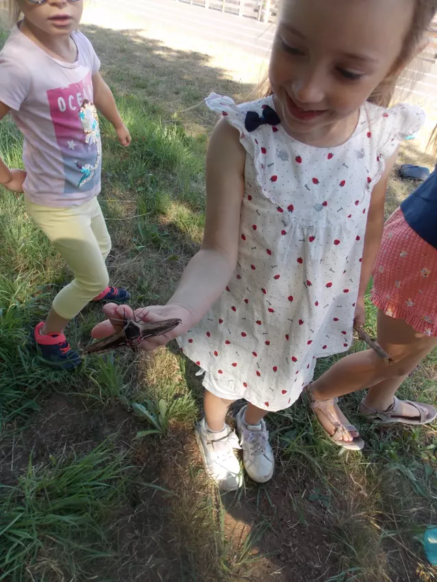  - Galerie semaine du 25 au 29 juillet