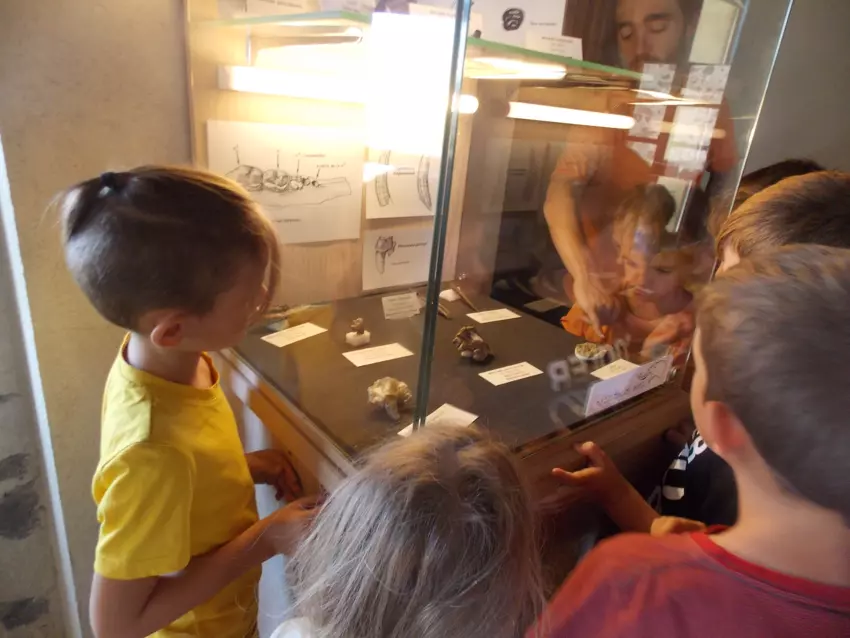  - Galerie semaine du 25 au 29 juillet