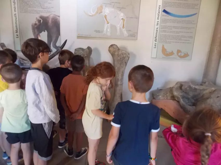  - Galerie semaine du 25 au 29 juillet