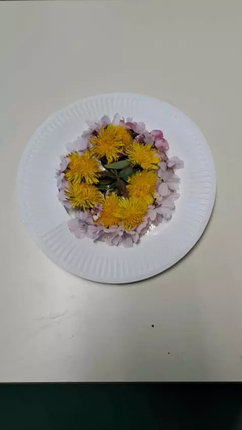  - Galerie vacances Pâques