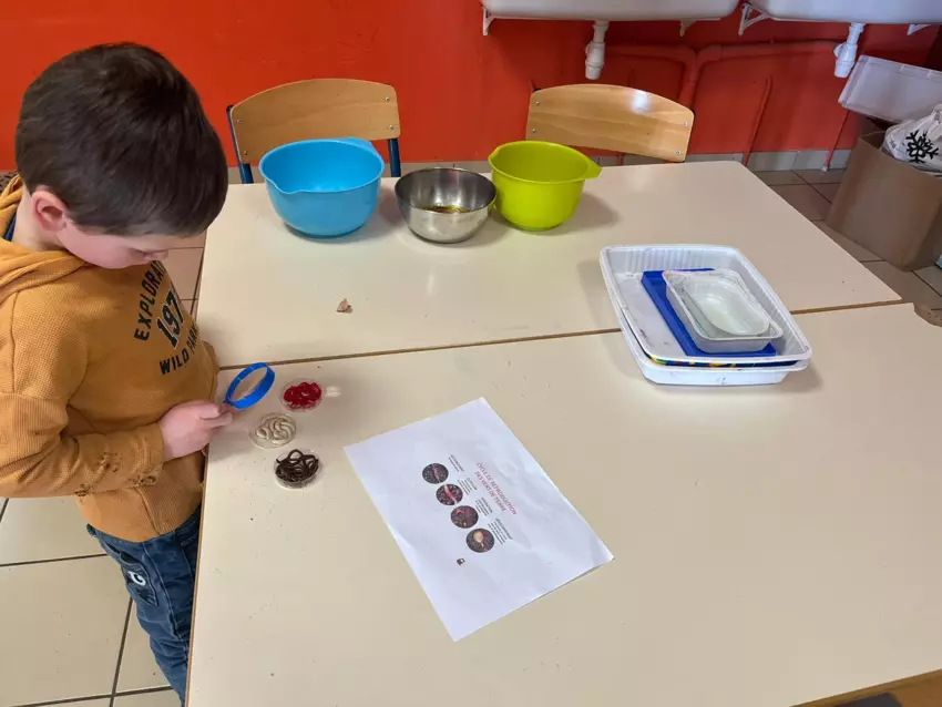  - Galerie Les vers de terres