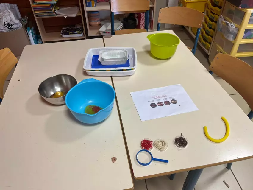  - Galerie Les vers de terres