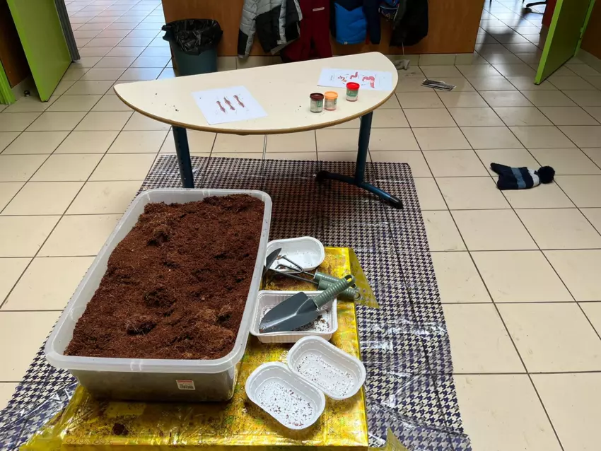  - Galerie Les vers de terres