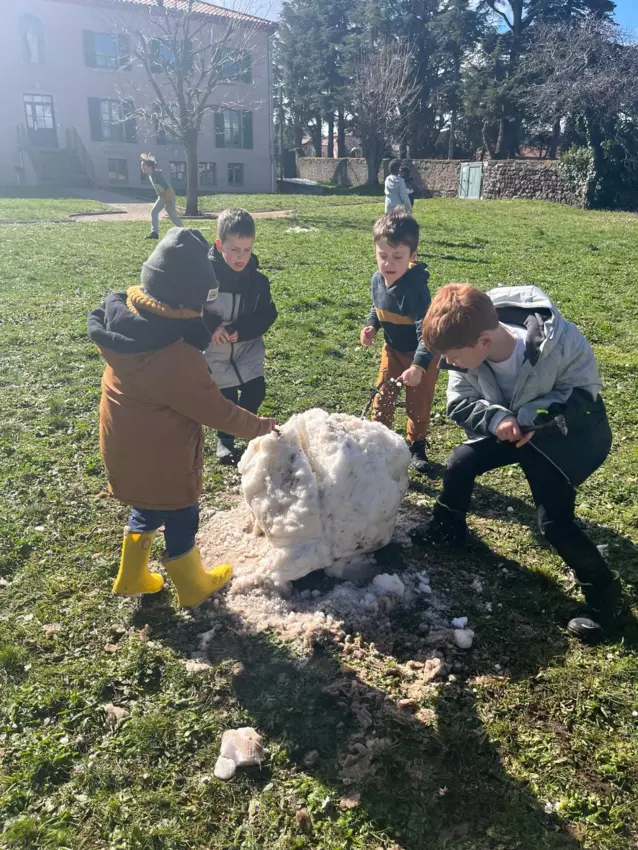  - Galerie Les vers de terres