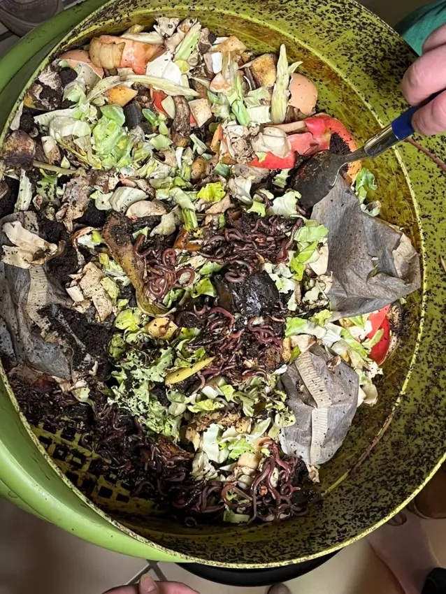  - Galerie Les vers de terres