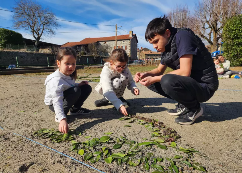  - Galerie Hiver 2025 "Les Arbres"