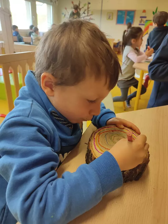  - Galerie Hiver 2025 "Les Arbres"