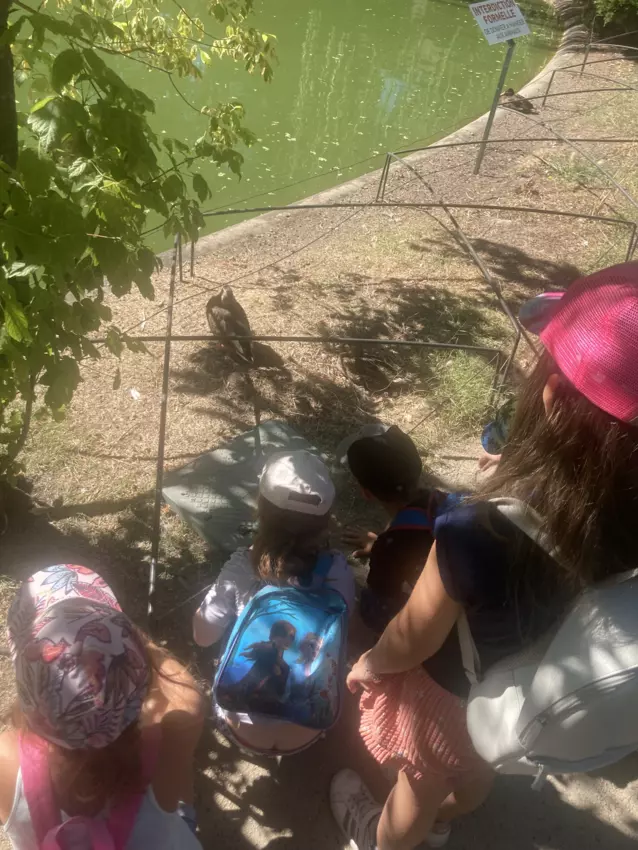  - Galerie semaine du 1 au 5 aout "