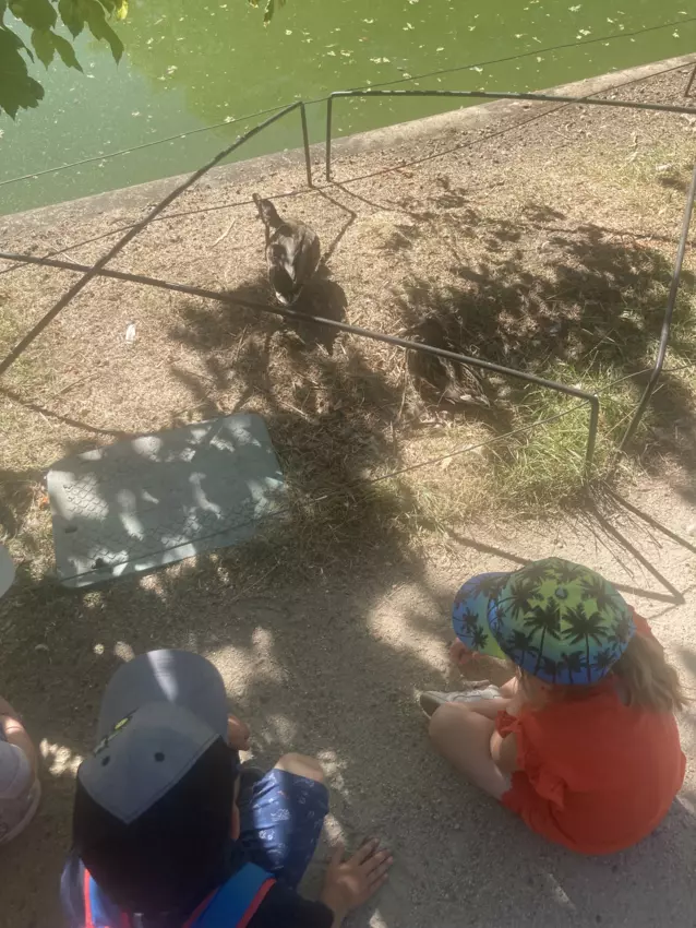  - Galerie semaine du 1 au 5 aout "