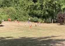 Centre de Saugues - Vacances - Galerie Mini-camps « Tous en forêt » - Fonchaude - 2022
