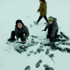 Centre de Saugues - Mercredis - Galerie Mercredis 2025