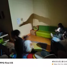 Centre de Saugues - Vacances - Galerie Mystères en ébullition avril 2026