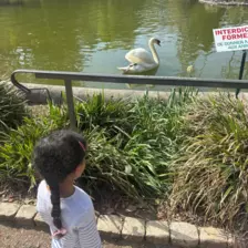 Centre de Vals Prés le Puy - Vacances - Galerie Été 2025