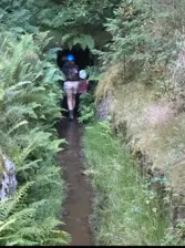 Centre de Saugues - Vacances - Galerie Mini-camps « Tous en forêt » - Fonchaude - 2022