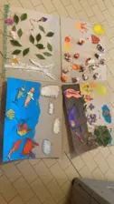 Centre de Velay Ouest (Allègre - Saint Paulien) - Vacances - Galerie vacances été 2024