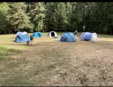 Centre de Saugues} - Vacances - Galerie Mini-camps « Tous en forêt » - Fonchaude - 2022