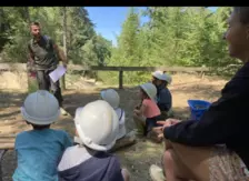 Centre de Saugues} - Vacances - Galerie Mini-camps « Tous en forêt » - Fonchaude - 2022