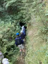 Centre de Saugues} - Vacances - Galerie Mini-camps « Tous en forêt » - Fonchaude - 2022