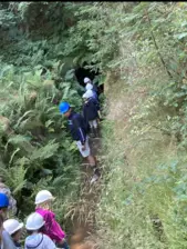 Centre de Saugues - Vacances - Galerie Mini-camps « Tous en forêt » - Fonchaude - 2022