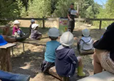 Centre de Saugues} - Vacances - Galerie Mini-camps « Tous en forêt » - Fonchaude - 2022