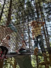 Centre de Saugues - Vacances - Galerie Mini-camps « Tous en forêt » - Fonchaude - 2022