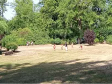 Centre de Saugues - Vacances - Galerie Mini-camps « Tous en forêt » - Fonchaude - 2022