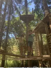 Centre de Saugues - Vacances - Galerie Mini-camps « Tous en forêt » - Fonchaude - 2022
