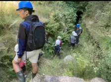 Centre de Saugues - Vacances - Galerie Mini-camps « Tous en forêt » - Fonchaude - 2022