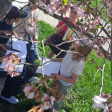 Centre de Saint Paulien - Vacances - Galerie vacances Pâques