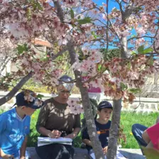 Centre de Saint Paulien - Vacances - Galerie vacances Pâques