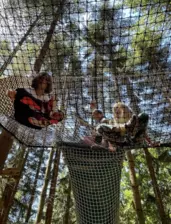 Centre de Saugues - Vacances - Galerie Mini-camps « Tous en forêt » - Fonchaude - 2022