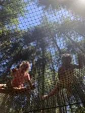 Centre de Saugues - Vacances - Galerie Mini-camps « Tous en forêt » - Fonchaude - 2022