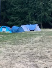 Centre de Saugues} - Vacances - Galerie Mini-camps « Tous en forêt » - Fonchaude - 2022