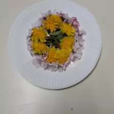 Centre de Saint Paulien - Vacances - Galerie vacances Pâques