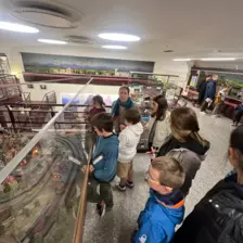 Centre de AdosClic - AdosClic - Galerie Camps Alsace