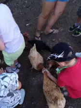 Centre de Velay Ouest (Allègre - Saint Paulien) - Vacances - Galerie vacances d'été 2022