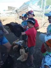 Centre de Velay Ouest (Allègre - Saint Paulien) - Vacances - Galerie vacances d'été 2022