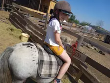 Centre de Velay Ouest (Allègre - Saint Paulien) - Vacances - Galerie vacances d'été 2022